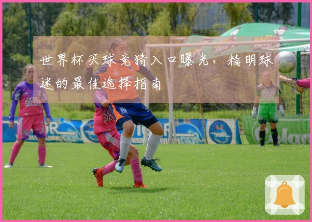 世界杯买球竞猜入口曝光，精明球迷的最佳选择指南