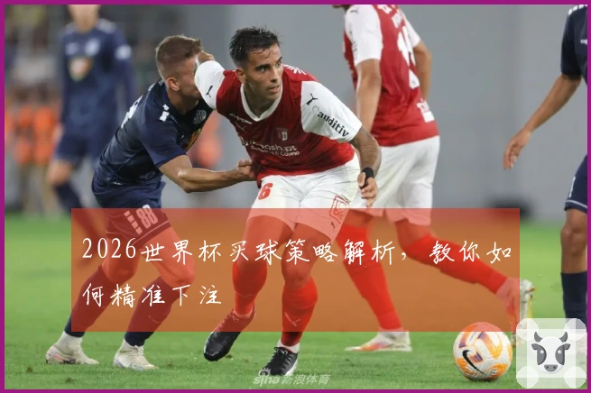 2026世界杯买球策略解析，教你如何精准下注