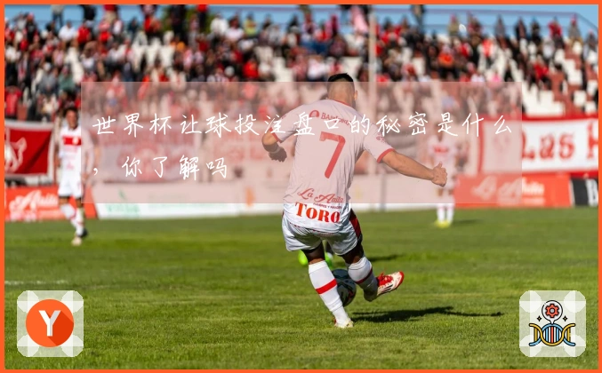 世界杯让球投注盘口的秘密是什么，你了解吗