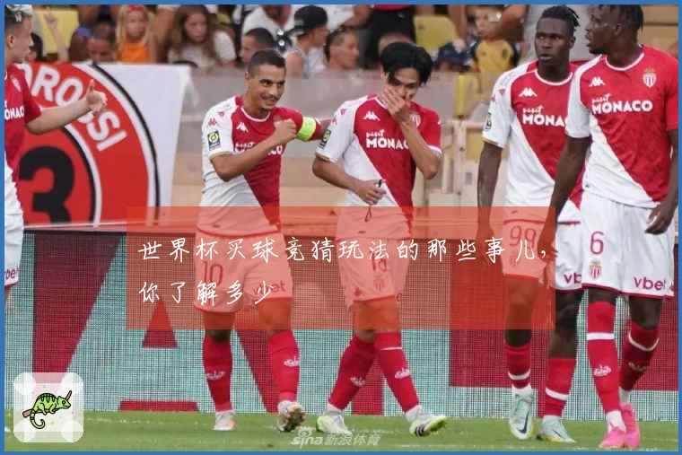 世界杯买球竞猜玩法的那些事儿，你了解多少