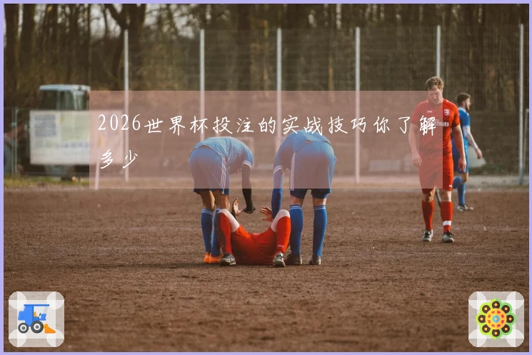 2026世界杯投注的实战技巧你了解多少