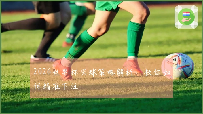2026世界杯买球策略解析，教你如何精准下注