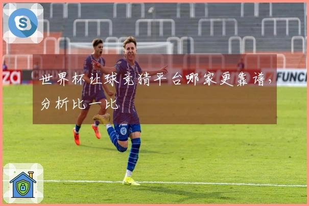 世界杯让球竞猜平台哪家更靠谱，分析比一比