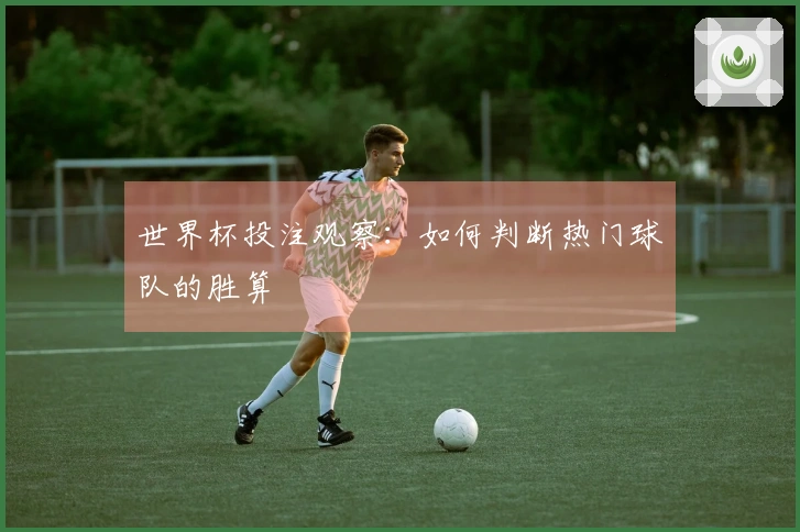 世界杯投注观察：如何判断热门球队的胜算