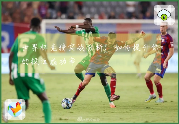 世界杯竞猜实战分析：如何提升你的投注成功率