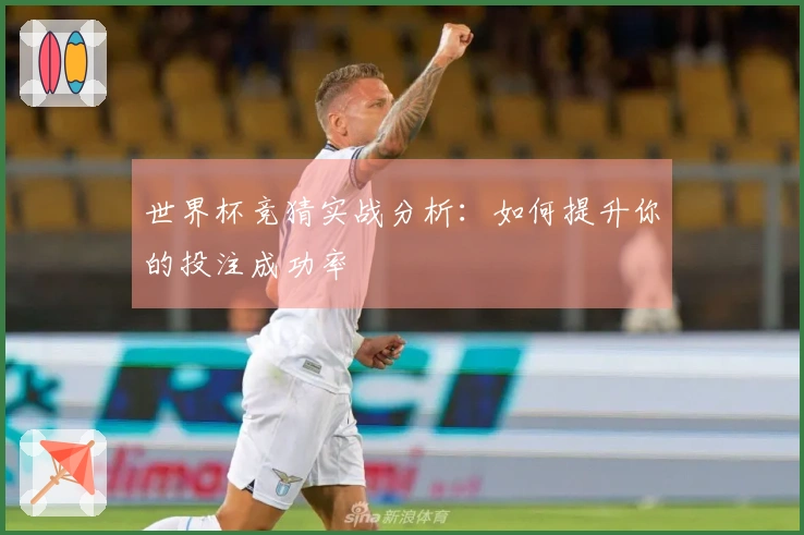 世界杯竞猜实战分析：如何提升你的投注成功率