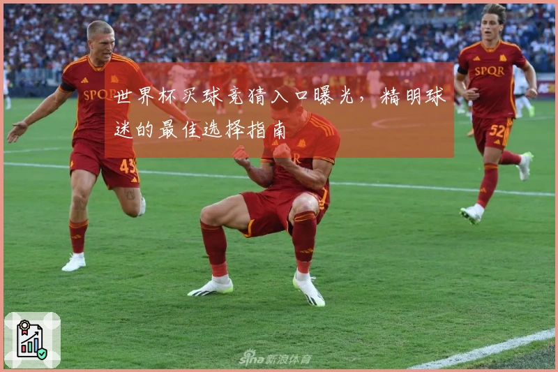 世界杯买球竞猜入口曝光，精明球迷的最佳选择指南