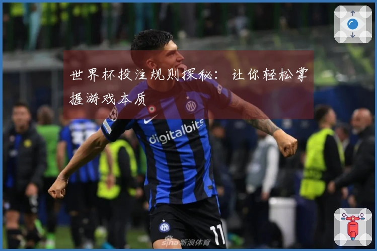 世界杯投注规则探秘：让你轻松掌握游戏本质